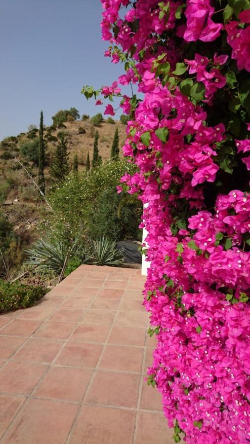 Cortijo Las Palmeras El Chorro Alora Exterior foto
